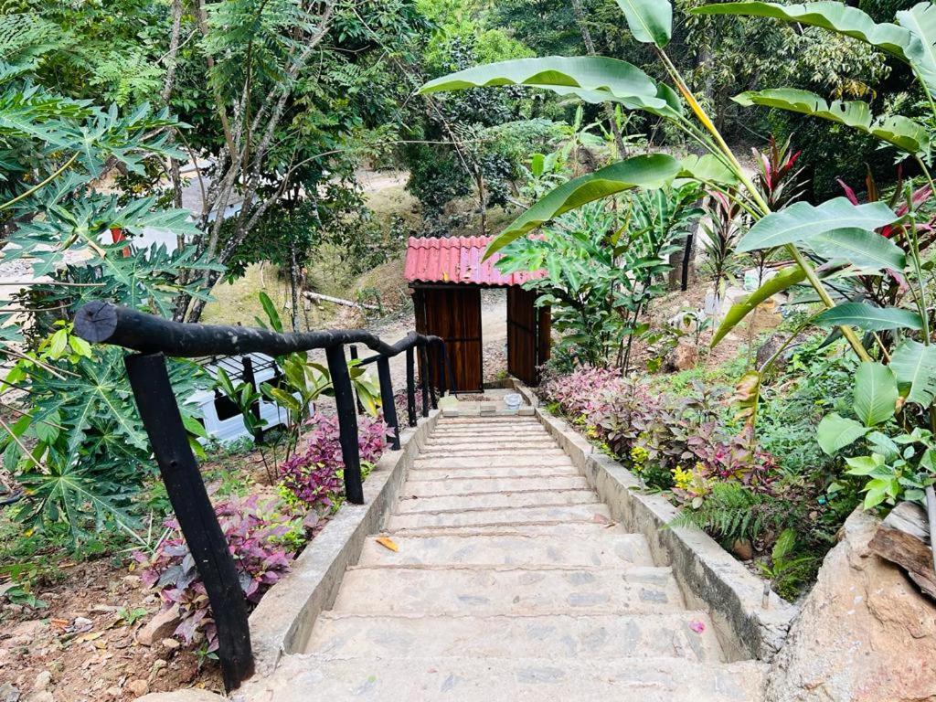 Minca Cabana La Roca Santa Marta  Buitenkant foto