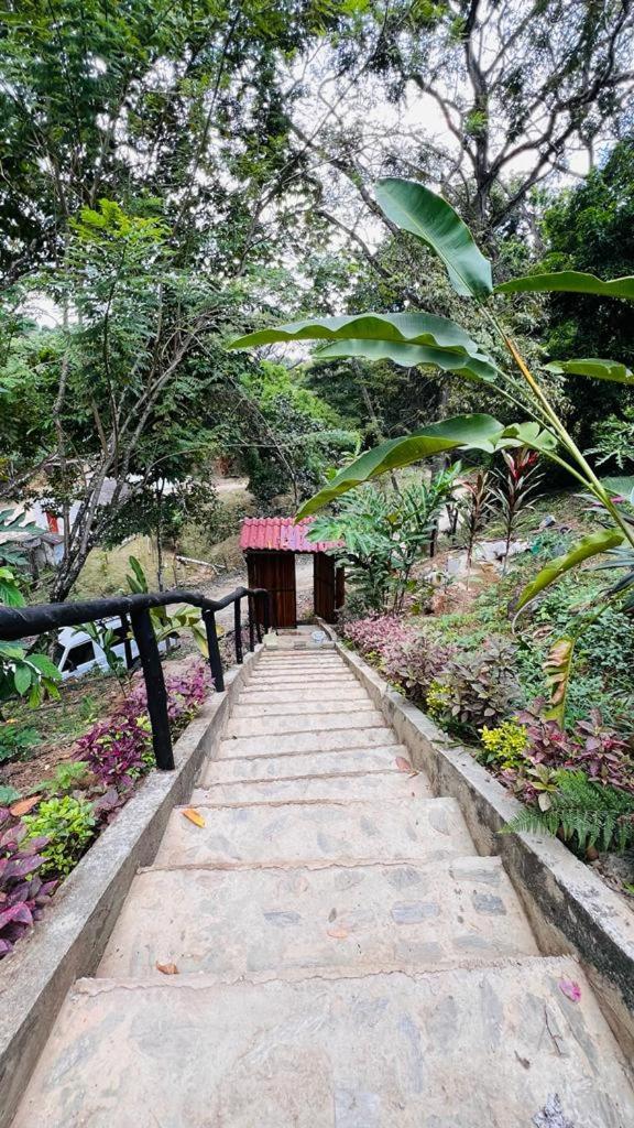 Minca Cabana La Roca Santa Marta  Buitenkant foto