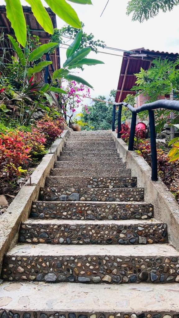 Minca Cabana La Roca Santa Marta  Buitenkant foto
